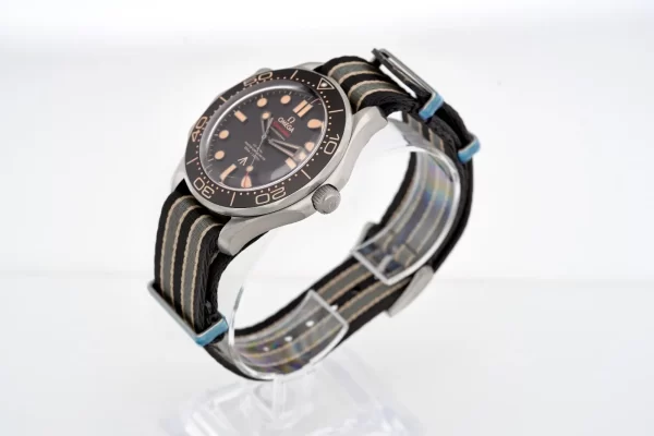 Omega Seamaster Ref. # 210.92.42.20.01.001