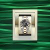 Rolex Sky-Dweller, 42mm, Oystersteel and 18k Yellow Gold, Black, Oyster, Ref# 336933-0003