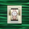 Rolex Sky-Dweller, 42mm, 18k Everose Gold, Ref# 336935-0003