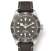 Tudor Black Bay Fifty-Eight 925, 39mm, 925 Silver, Ref# M79010SG-0001