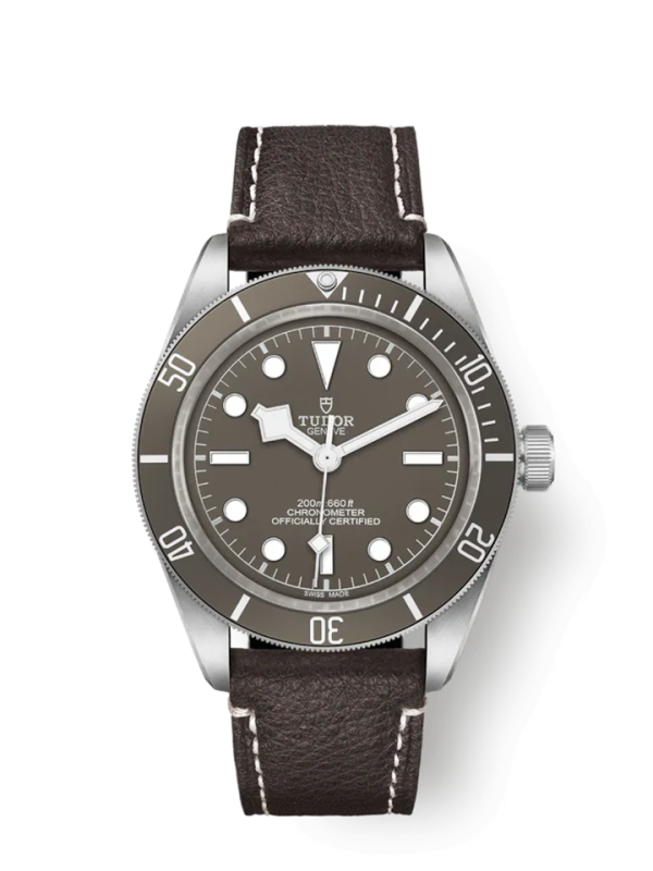 Tudor Black Bay Fifty-Eight 925, 39mm, 925 Silver, Ref# M79010SG-0001