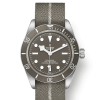 Tudor Black Bay Fifty-Eight 925, 39mm, 925 Silver, Ref# M79010SG-0002