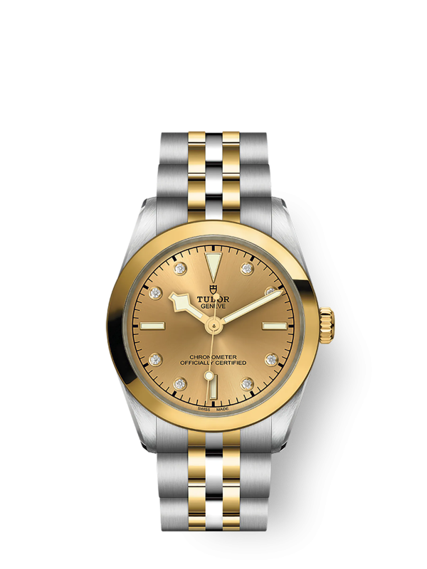 Tudor Black Bay 31 S&G, 316L Stainless Steel and 18k Yellow Gold, Ref# M79603-0008