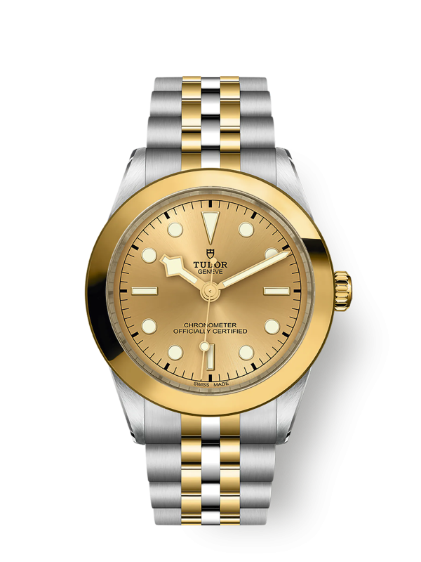 Tudor Black Bay 39 S&G, 316L Stainless Steel and 18k Yellow Gold, Ref# M79663-0005